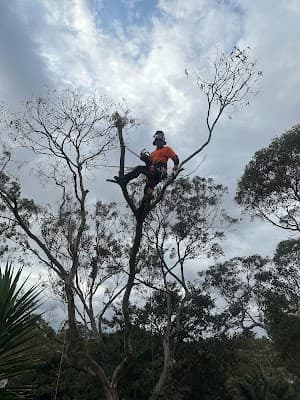 ENVIRO TREE WORKS project 3