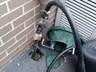 Erase Pest Control Mount Annan project 3