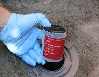 Erase Pest Control Mount Annan project 4