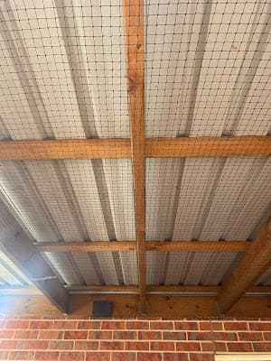 Essential Pest Solutions - Pest Control Geelong project 3