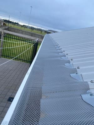 Essential Pest Solutions - Pest Control Geelong project 4
