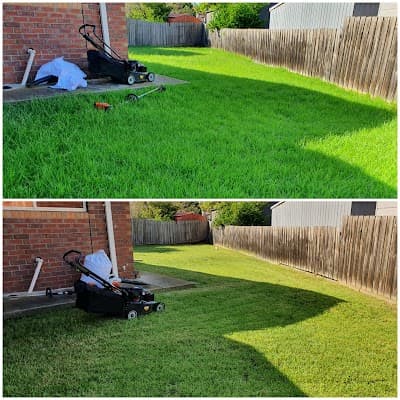 F & L Lawn Mowing and Handyman Services project 3