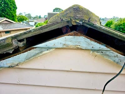 Fix & Save with Dave Handyman Service cover
