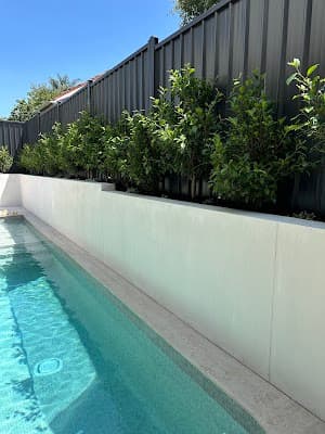 Forever Green Horticultural Consulting and Services Pty Ltd project 6