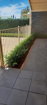 Fox Mowing (Goodwood) Adelaide cover