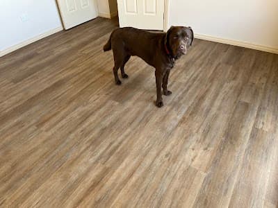 Freijah Floor Coverings & Blinds project 5