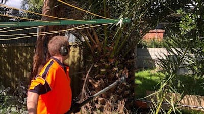 FTGU Tree Services project 6