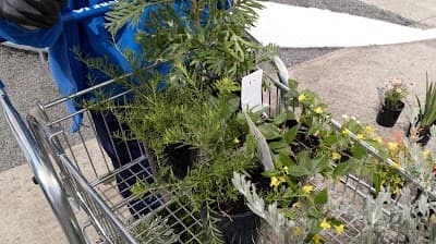 G Gay & Co Mitre 10 Sebastopol project 3