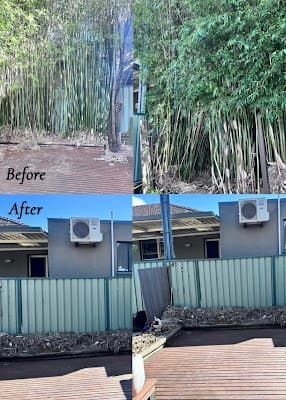 GAP Tree Lopping Services project 4