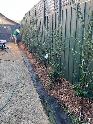 Gardener & Son - Garden Design and Heirloom & Foraged Garden Objects project 4