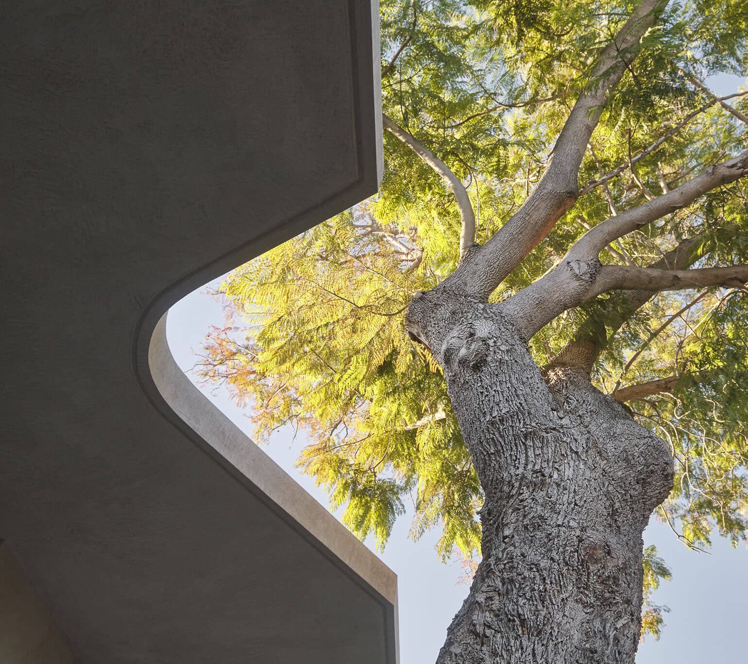 Giorgi