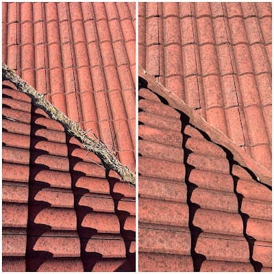 Golden Leaf Gutter Cleaning cover