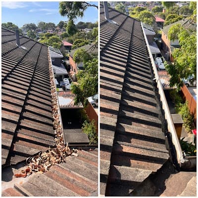 Golden Leaf Gutter Cleaning project 4