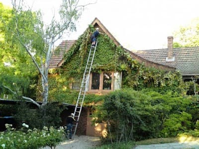 Grayson's Gutter Cleaning project 5