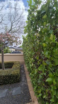 Green World Irrigation and Gardening project 4