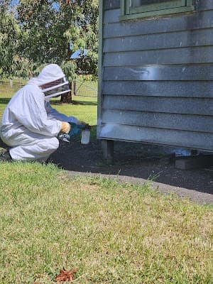 GT Pest Professionals project 3