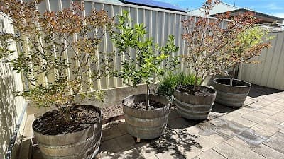 Guaranteed Garden Services project 3