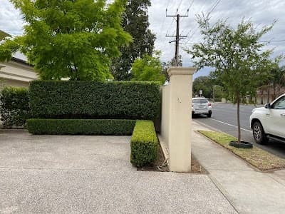 Guaranteed Garden Services project 4