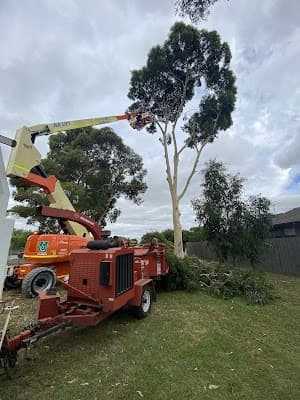 Gums To Roses Tree Care cover