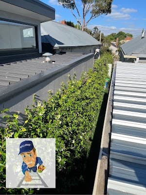 Gutter Cleaning Ballarat cover