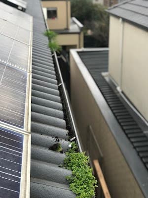 Gutter’s and Co. project 3