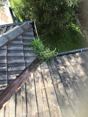 Gutter’s and Co. project 4