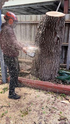Harry's Yard: Tree Removal Services cover