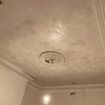 Hawthorn Plaster Repairs Specialist cover