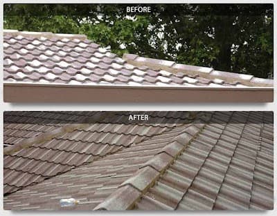 Highton Roof Restoration - Roofing Service cover