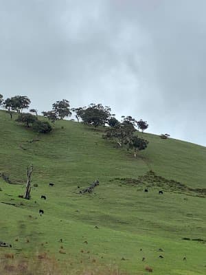 Hills and South Coast Demolition cover