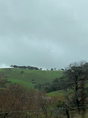 Hills and South Coast Demolition project 3
