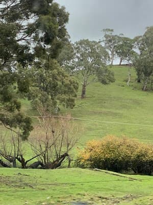 Hills and South Coast Demolition