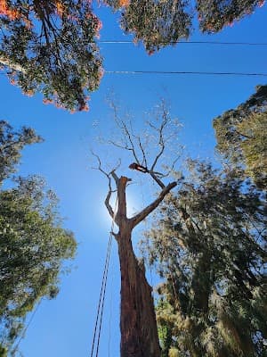Hillside Tree Care cover