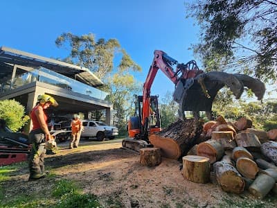 Hillside Tree Care project 4