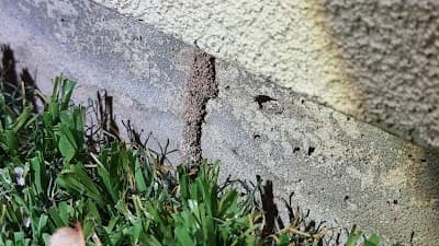 HomeMasters Pest Control project 3
