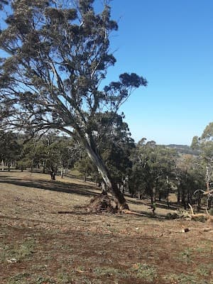 Hutchy's Tree Lopping cover