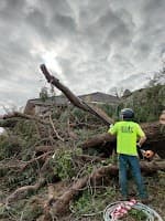 I Cut Tree Services Melbourne