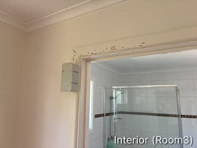 IG Pest Control Australia Nunawading project 3