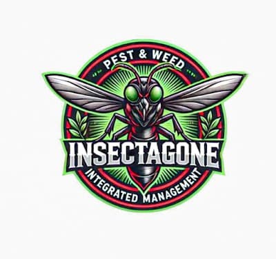 Insectagone project 4