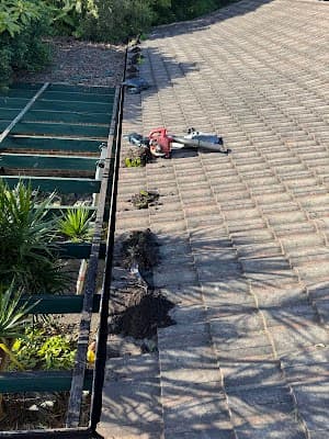 Integrated Pest Control & Maintenance project 3