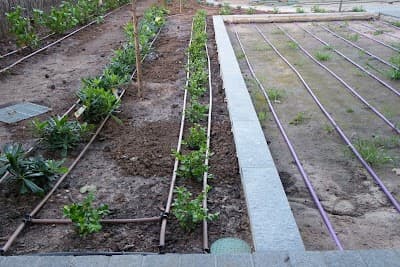 Irrigation Etc. project 6