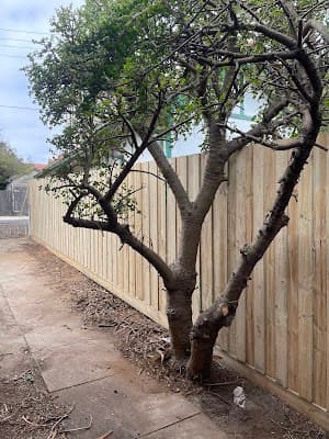 Ivy Fencing Solutions project 4