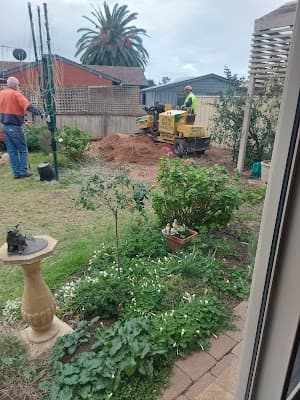 J & B Tree Service - Tree and Stump Removal Adelaide project 3