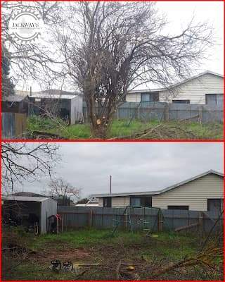 JACKWAY'S TREE AND LAND MANAGEMENT cover