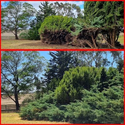 JACKWAY'S TREE AND LAND MANAGEMENT project 3