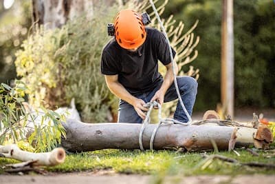 Jacob's Ladder Tree Service project 6