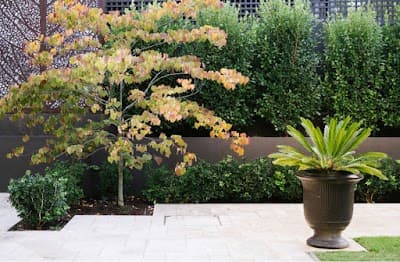 Jade Garden Design & Service project 3