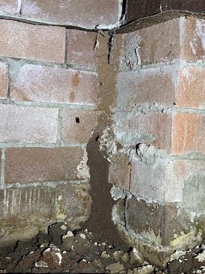 JD Pest Solutions project 3