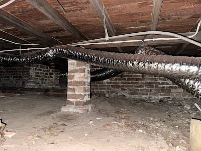 JD Pest Solutions project 6
