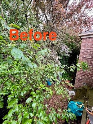 Jon's Garden Service project 6